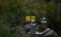 魔武